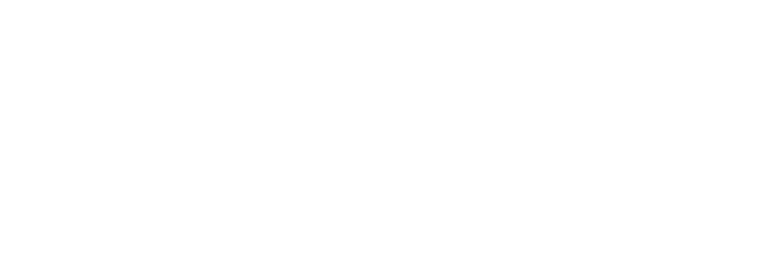 Constellation X logo